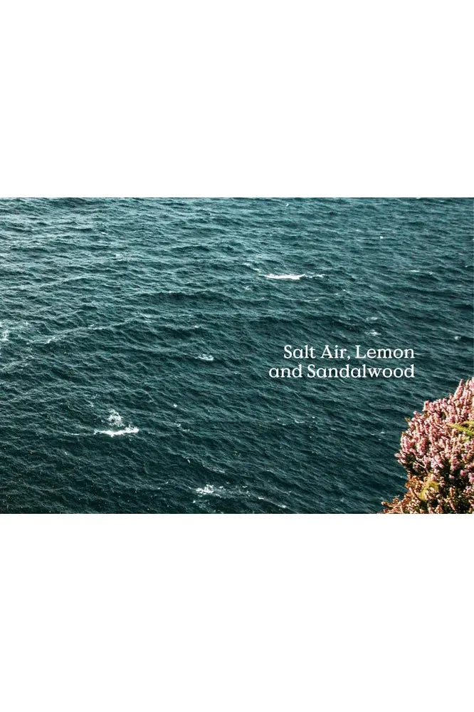 Field Day Sea Diffuser Refill