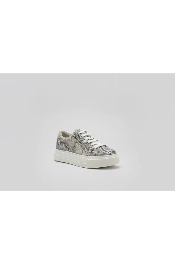 Paul Green Sky/Milk Snake Trainer