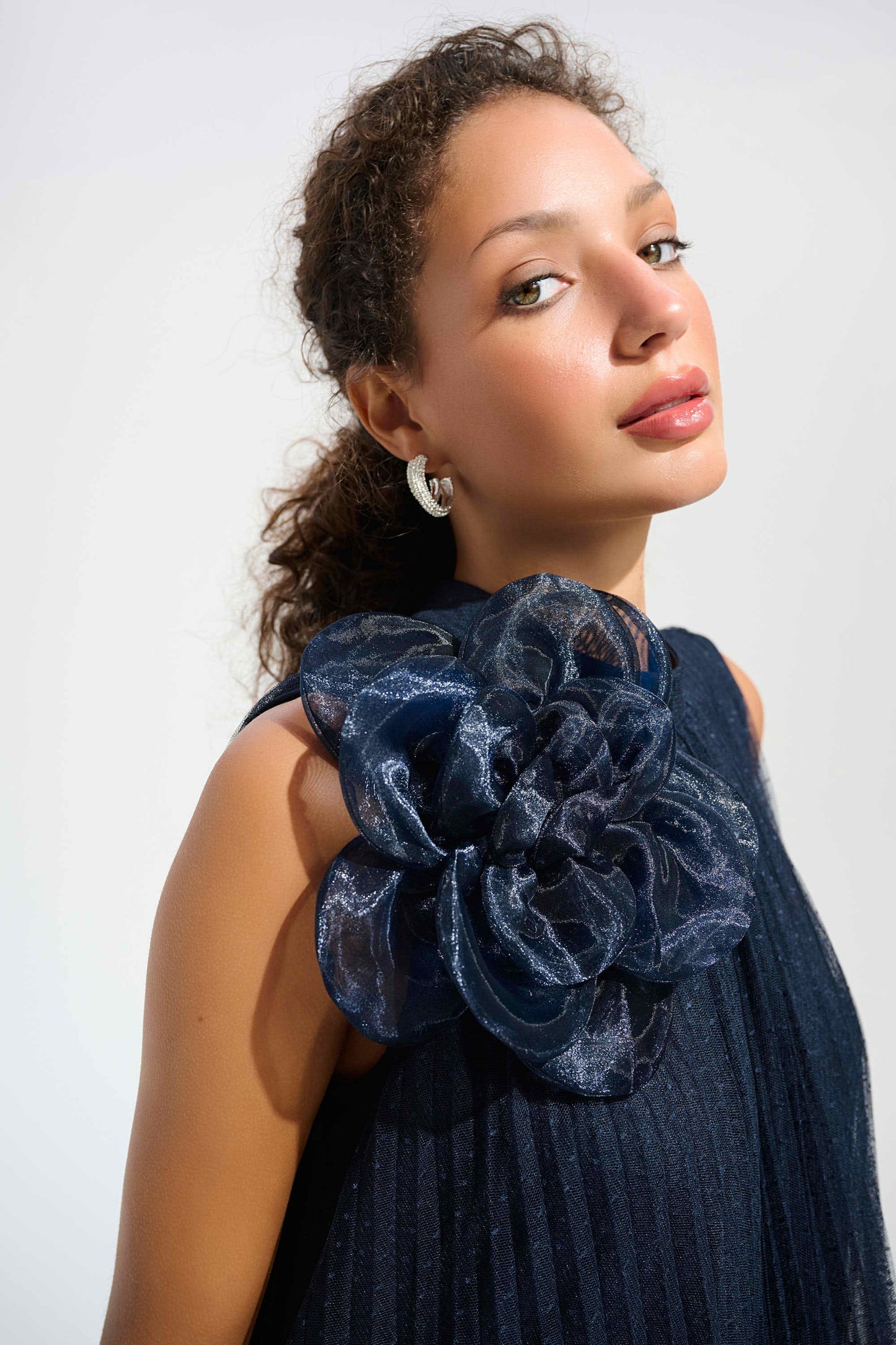 Joseph Ribkoff Mesh A-Line Dress MB