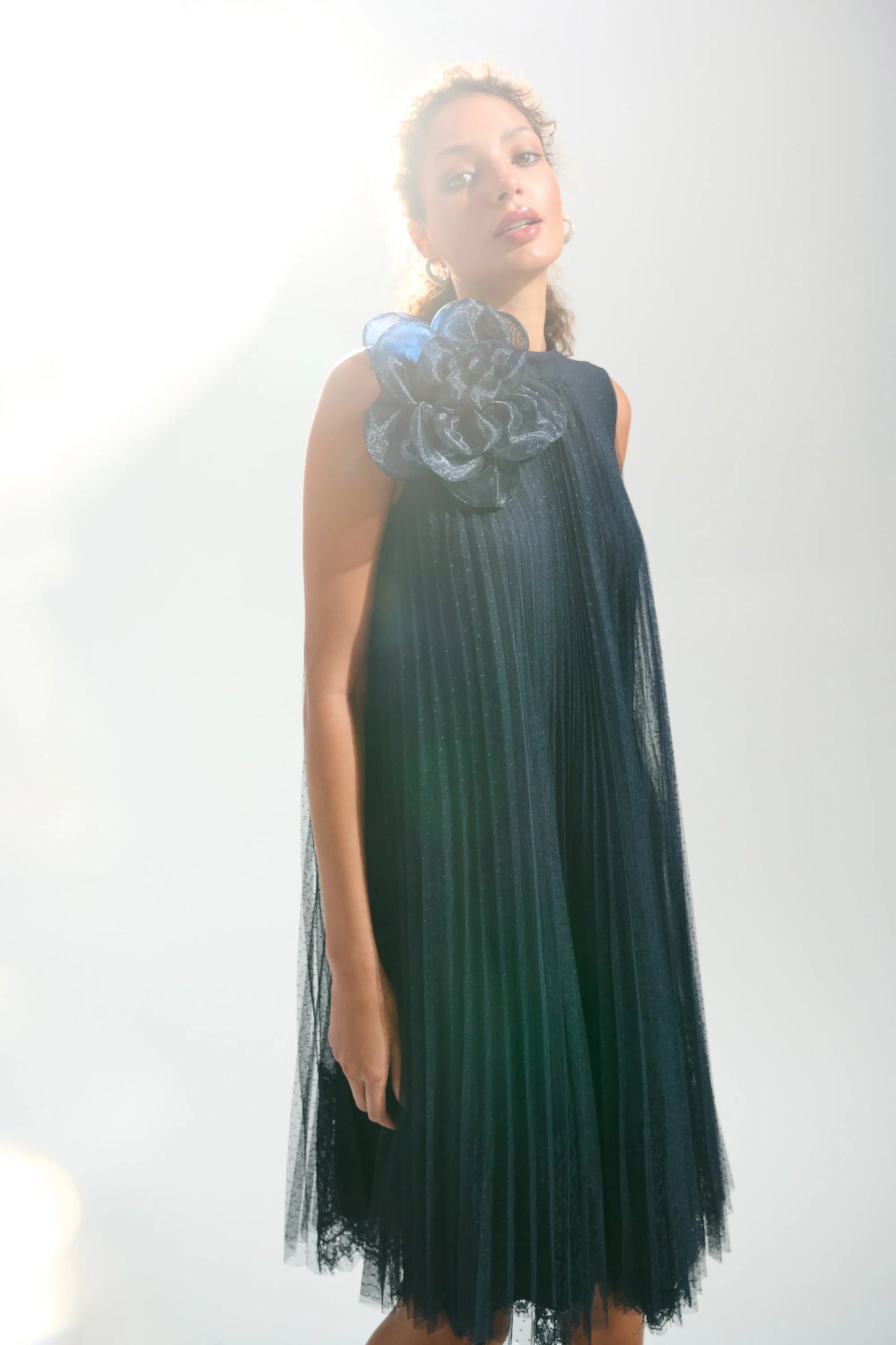 Joseph Ribkoff Mesh A-Line Dress MB