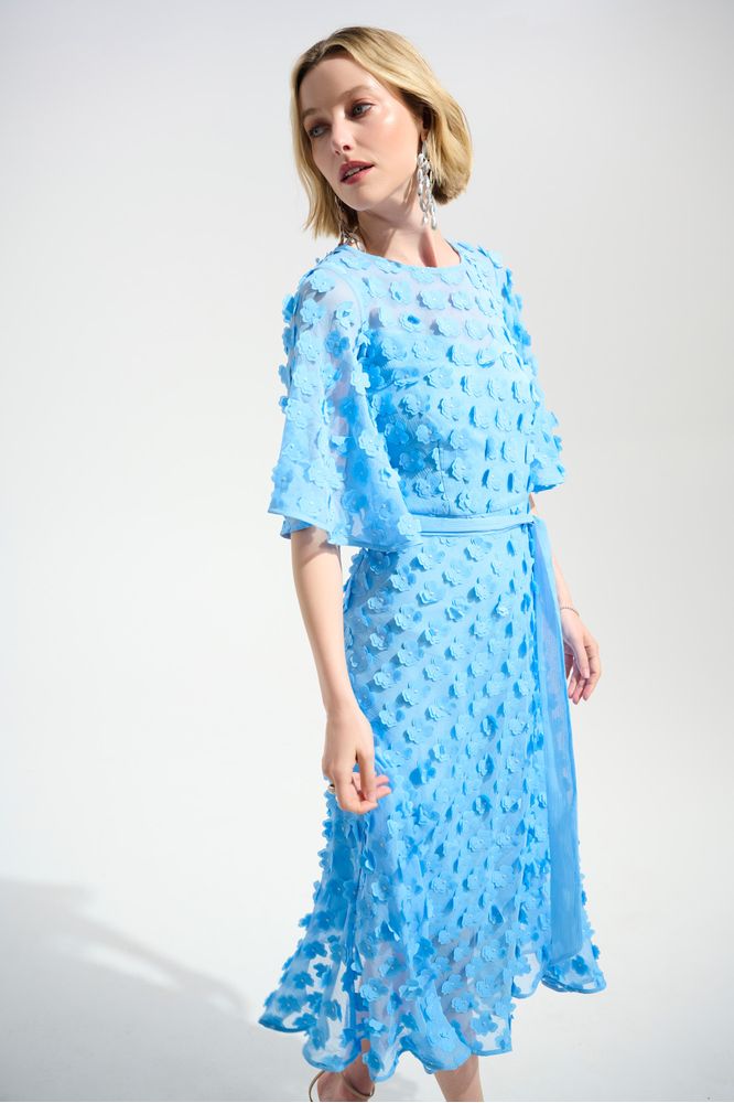 Joseph Ribkoff Embroidered Chiffon Dress