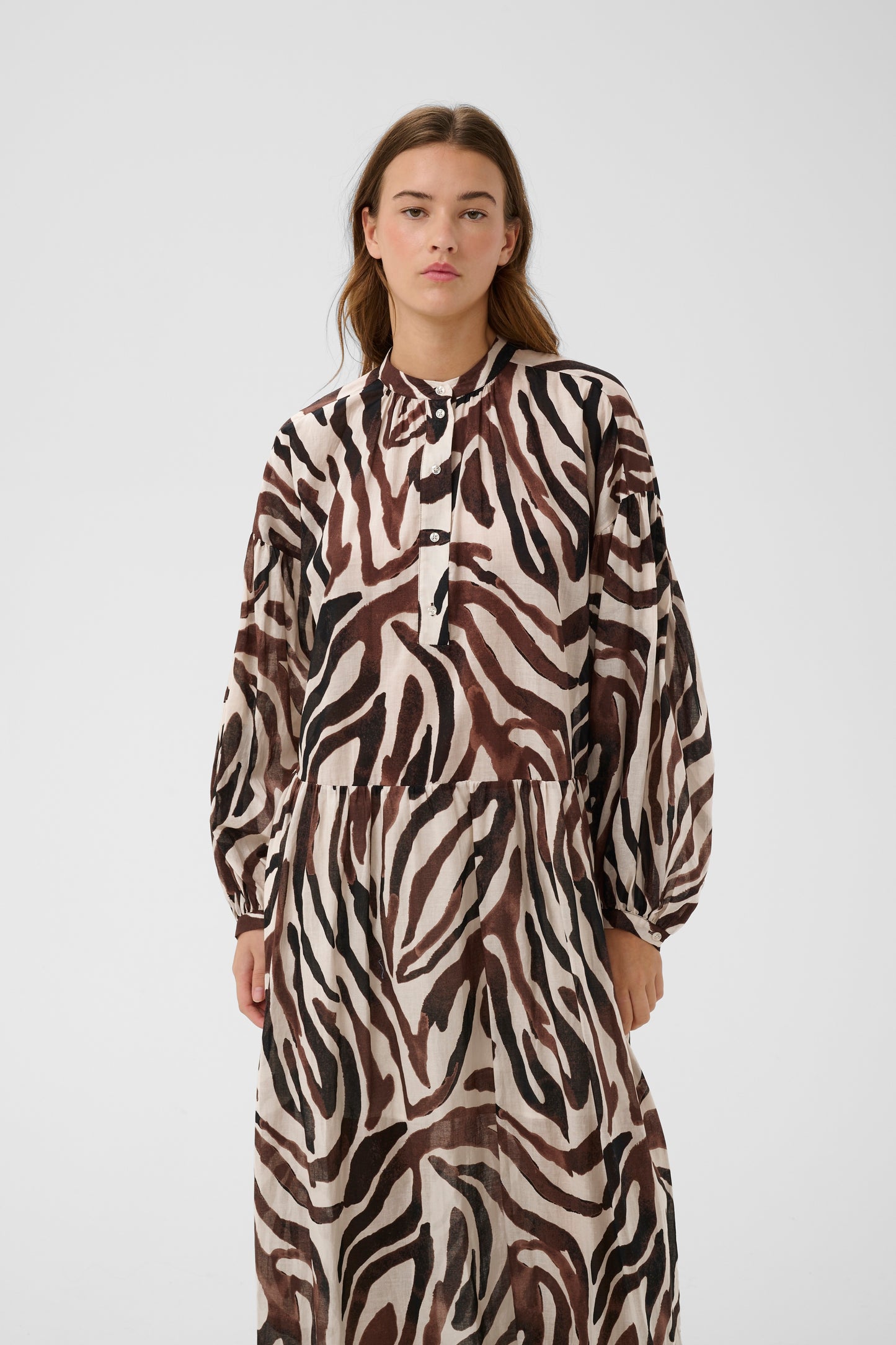 InWear RosalieIW Dress Haze Zebrah