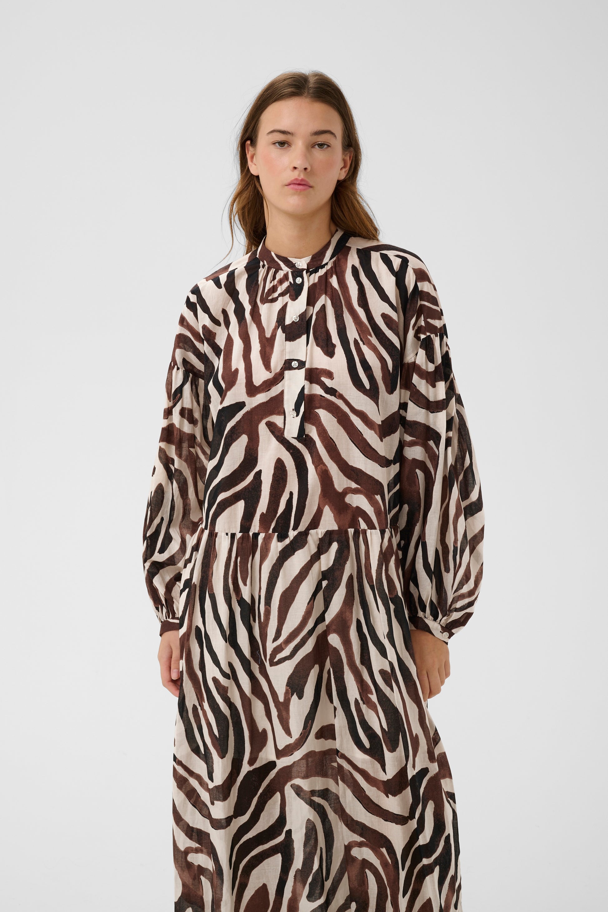 InWear RosalieIW Dress Haze Zebrah
