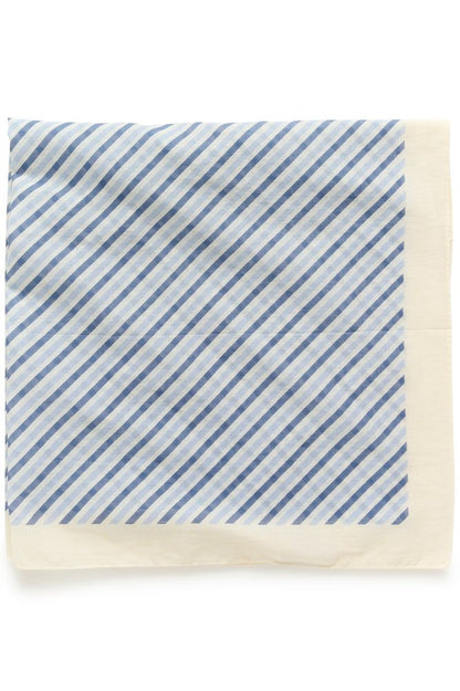 Part Two PhiPW Scarf Blue Stripe