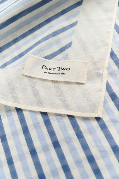 Part Two PhiPW Scarf Blue Stripe