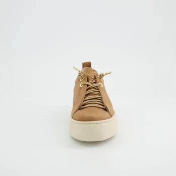 Paul Green Samtziege Nut Sneaker - Brown