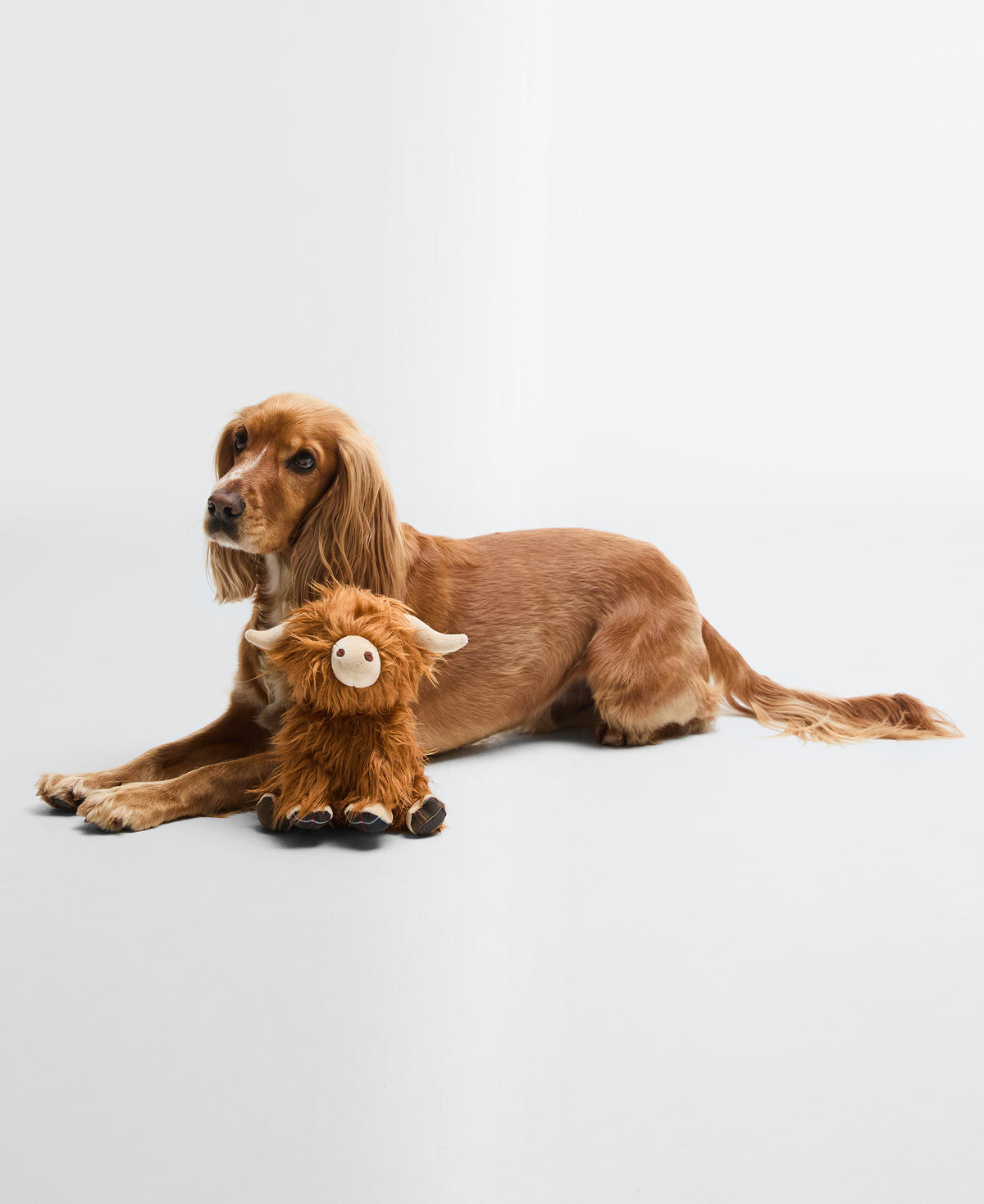 Barbour Highland Cow Dog Toy