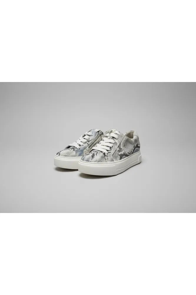 Paul Green Sky/Milk Snake Trainer