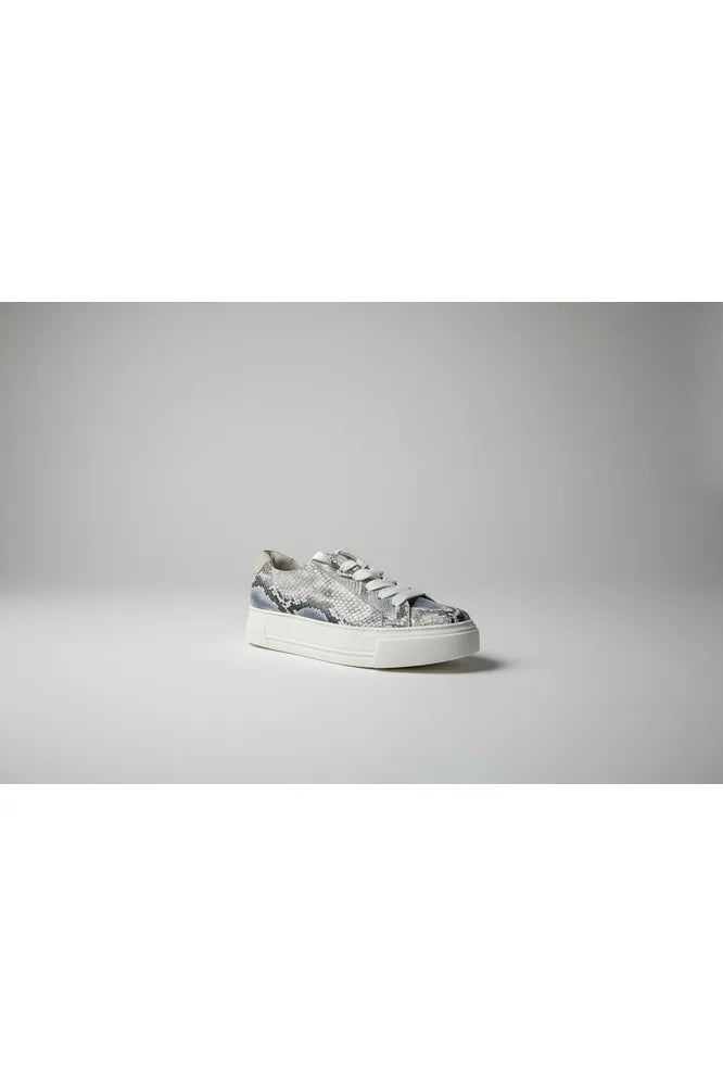 Paul Green Sky/Milk Snake Trainer